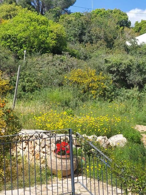 דירות Hararit View נוף הררית מראה חיצוני תמונה